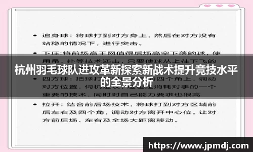 杭州羽毛球队进攻革新探索新战术提升竞技水平的全景分析